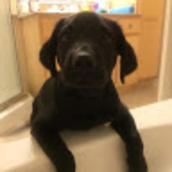 Meet your Posher, Maria - Picture 1 of 1